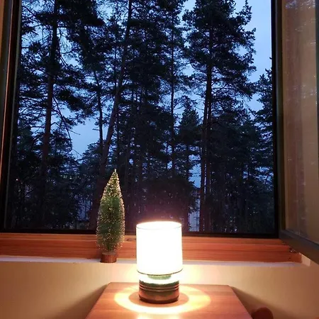 Apartment Pine Forest Zlatibor